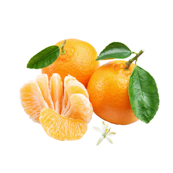 برتقال كيني