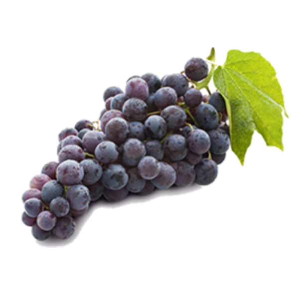 عنب أسود