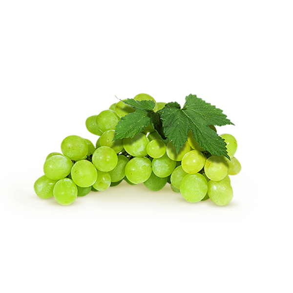 عنب أبيض