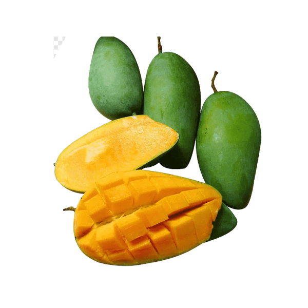 مانجا زبدية